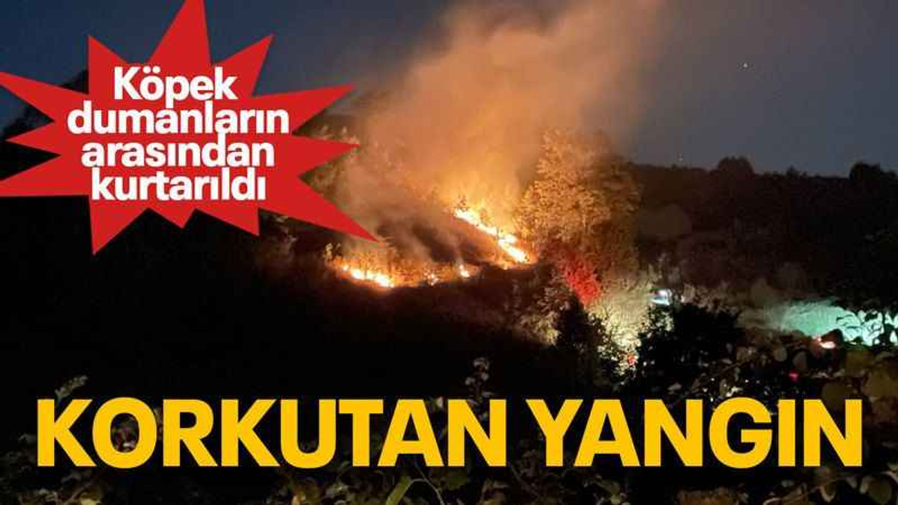 Korkutan yangın